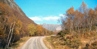 haust14.10.a.jpg (210084 bytes)